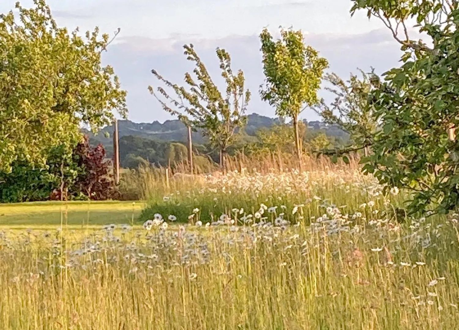 Bed & Breakfast La Closerie Beaussais Sur Mer